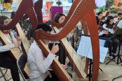 VID_20251216_174745.mp4_snapshot_00.25.17.128