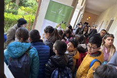 IMG_5007