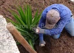 Pulizia Campetti e Piazzetta di Paparone