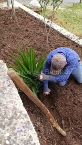 Pulizia Campetti e Piazzetta di Paparone