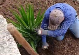 Pulizia Campetti e Piazzetta di Paparone