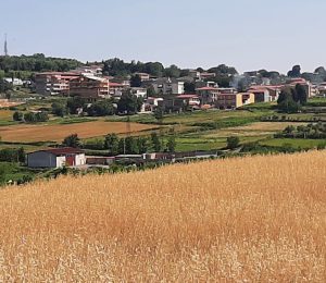 Barritteri: il futuro costruito sulla forza delle origini